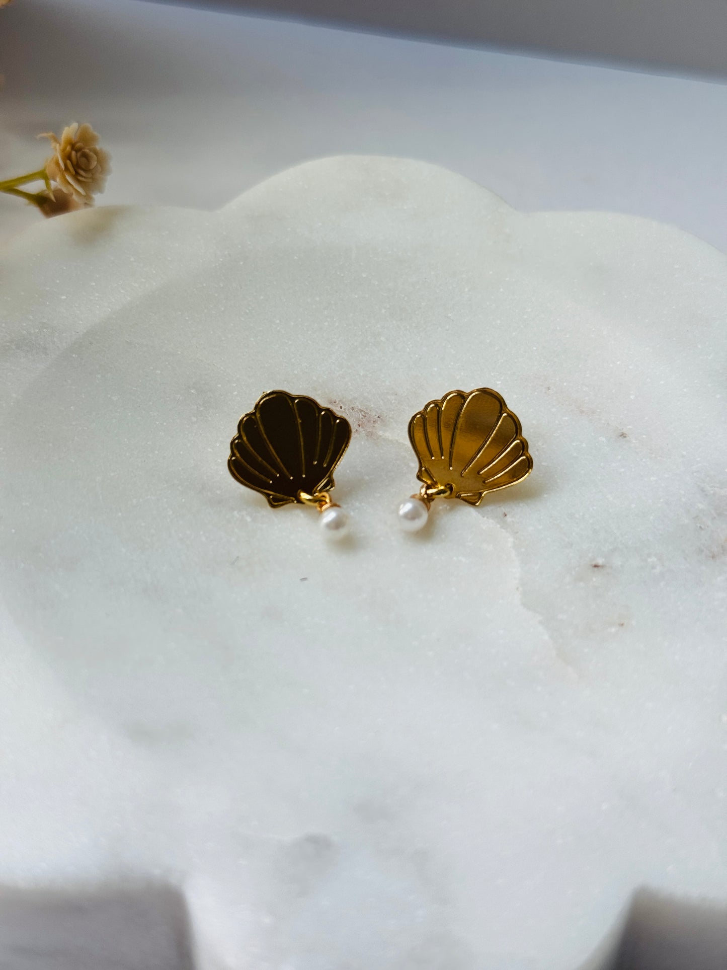 Shell Earrings