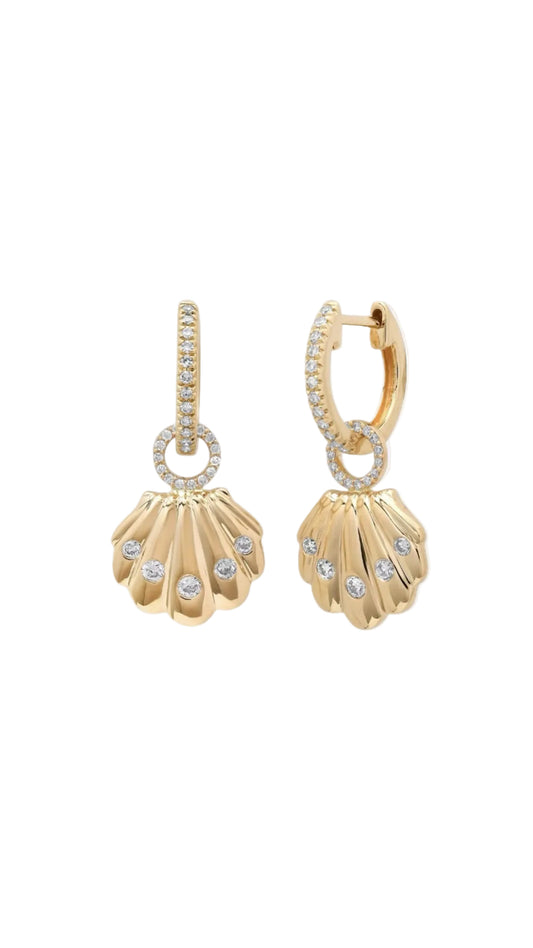 Seashell Earrings