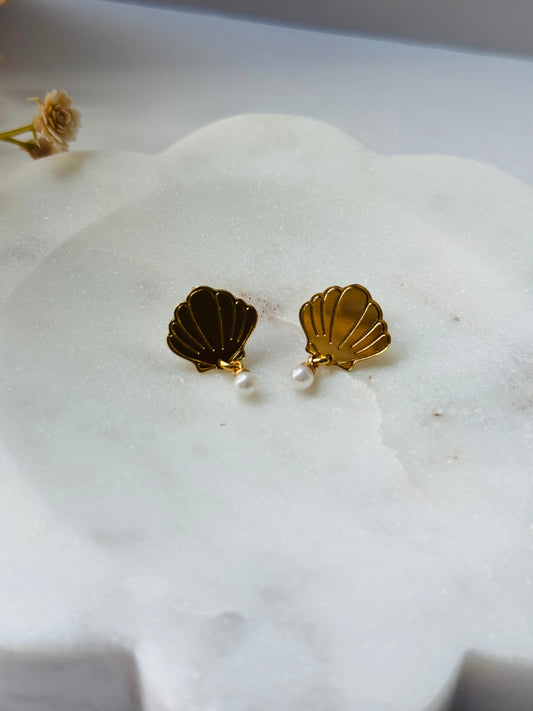 Shell Earrings
