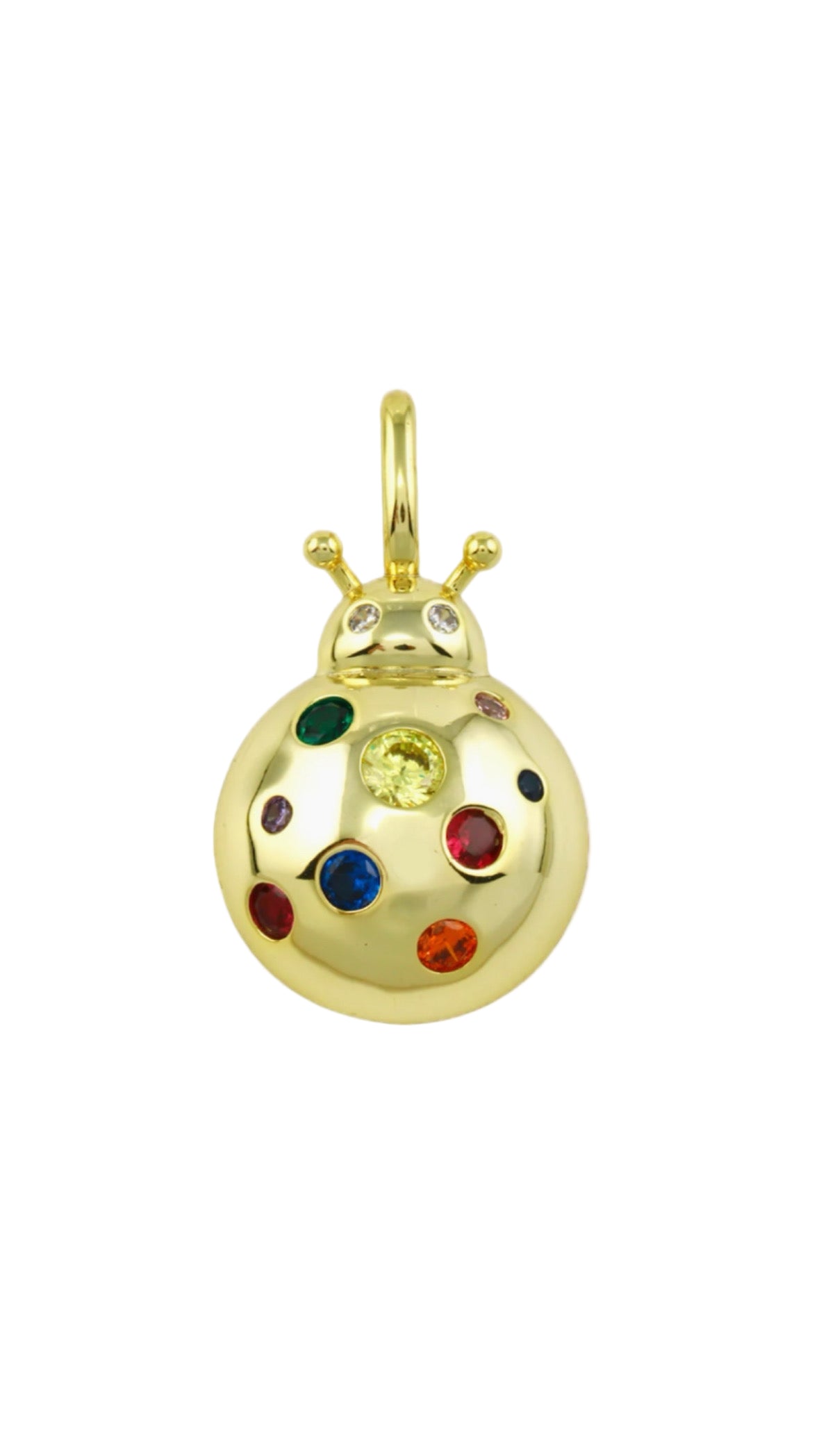 RAINBOW LADYBUG CHARM