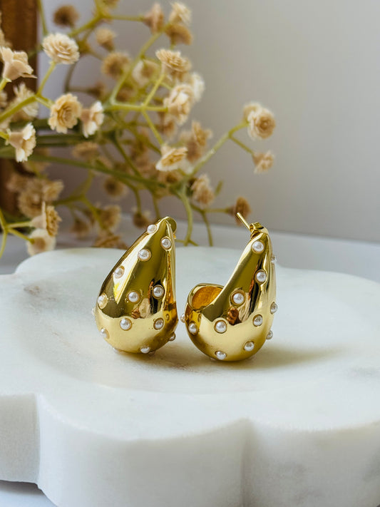Drop Earrings