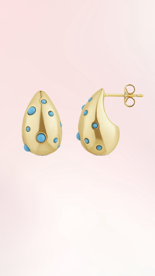 Drop Earrings